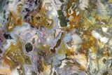 Polished Ocean Jasper Flame - Very Colorful #158602-2